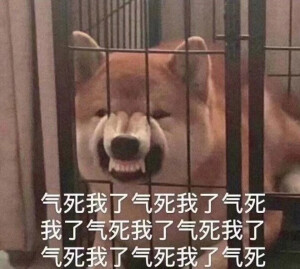沙雕表情包