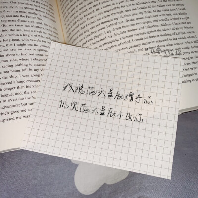 你呀 你别再关心灵魂了 那是神明的事
你所能做的 是些小事情
诸如热爱时间 思念母亲 静悄悄做人
像早晨一样清白
cr.我要写给你