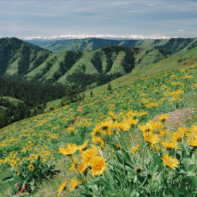 背景图
你要抵达山川湖海 把沿途每一帧星芒收进载满痴梦的行囊