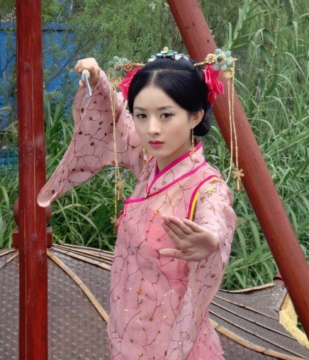 宫锁珠帘
赵丽颖 饰 百合