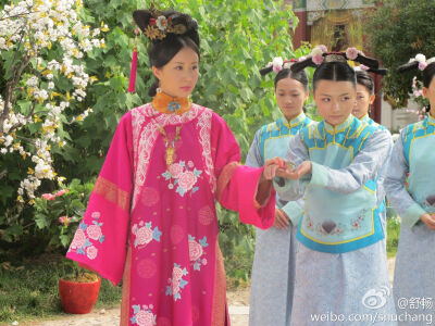 宫锁珠帘
舒畅 饰 海棠/牡丹