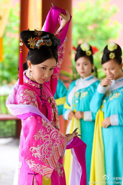 宫锁珠帘
舒畅 饰 海棠/牡丹