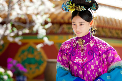 宫锁珠帘
袁姗姗 饰 钮祜禄·怜儿