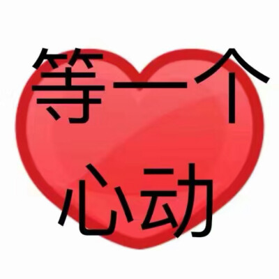 网上冲浪‍♀️表情包 斗图