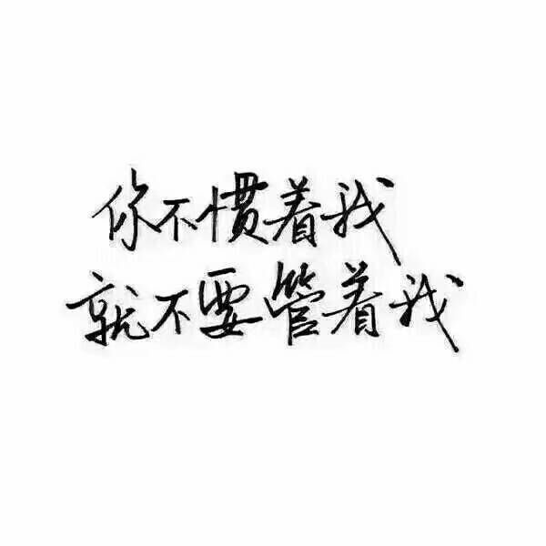 白底黑字 愿喜.