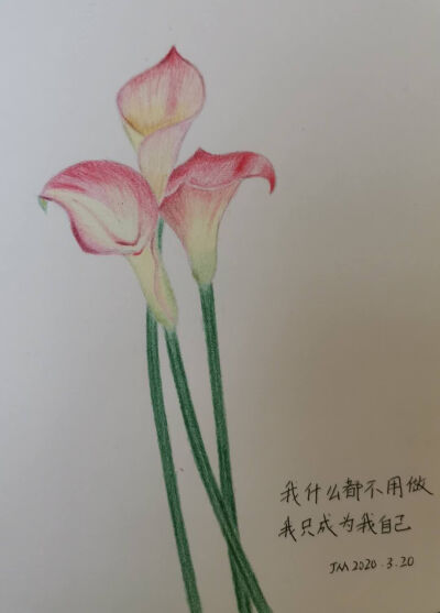 我和我学员们的禅绕画