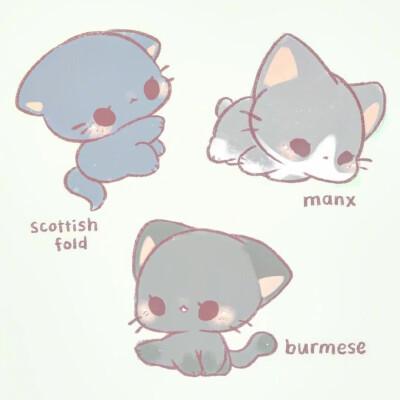 可爱 萌宠 动漫 肉肉 太可爱了