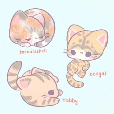 可爱 萌宠 动漫 肉肉 太可爱了