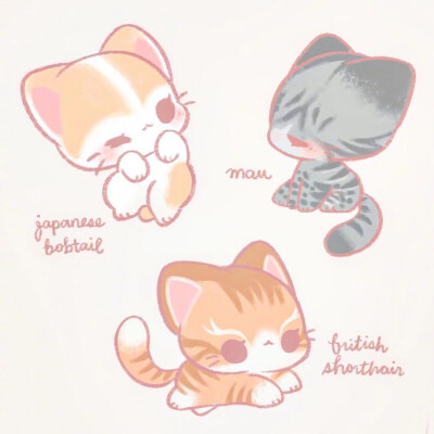 可爱 萌宠 动漫 肉肉 太可爱了