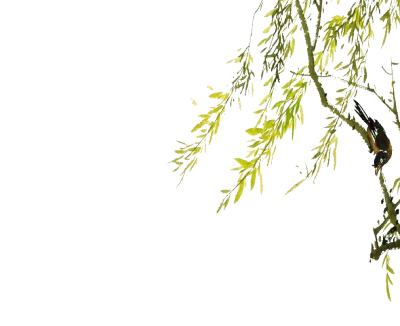 免扣素材~自制渣图（图片来自网络.侵删）