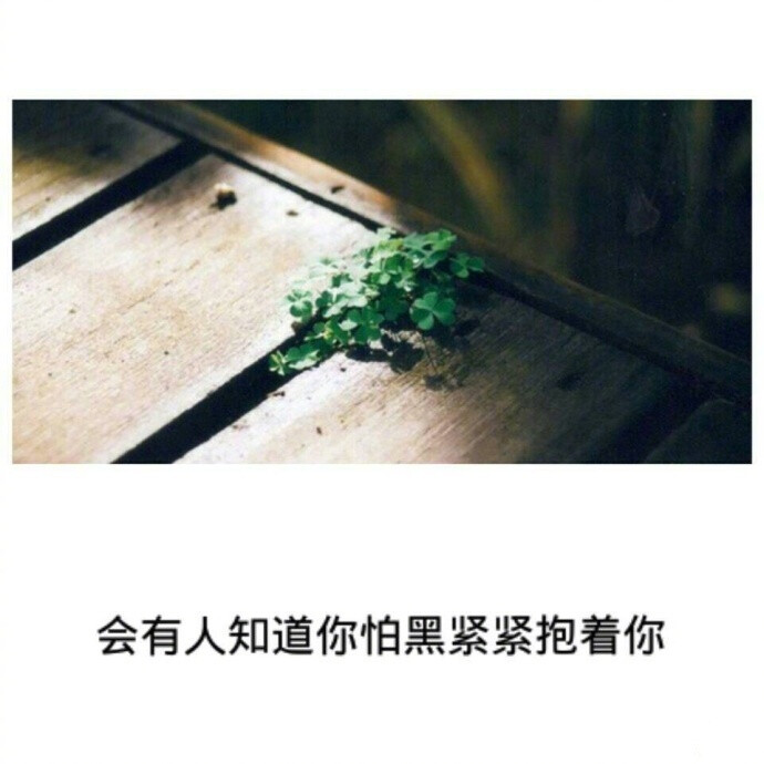 #暖心情话# 你年纪轻轻心地善良 怕什么没人爱，别担心，我相信，你终会遇见这样一个人 好的总是压箱底，所有的不期而遇 只为遇见你”。