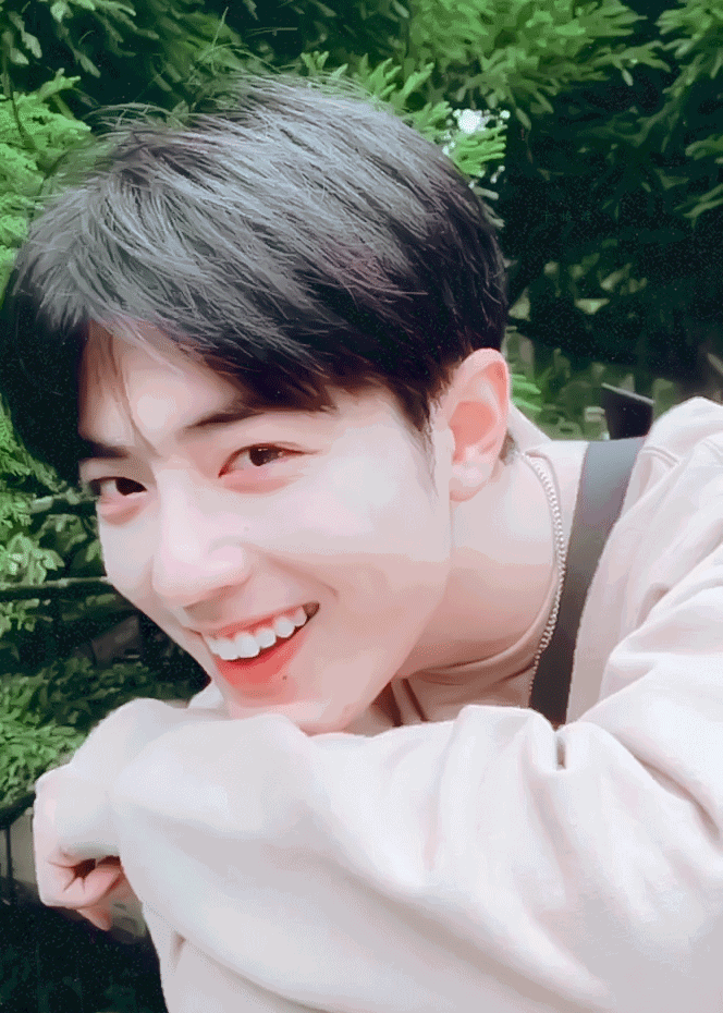 肖战动态壁纸爱了爱了❤️❤️