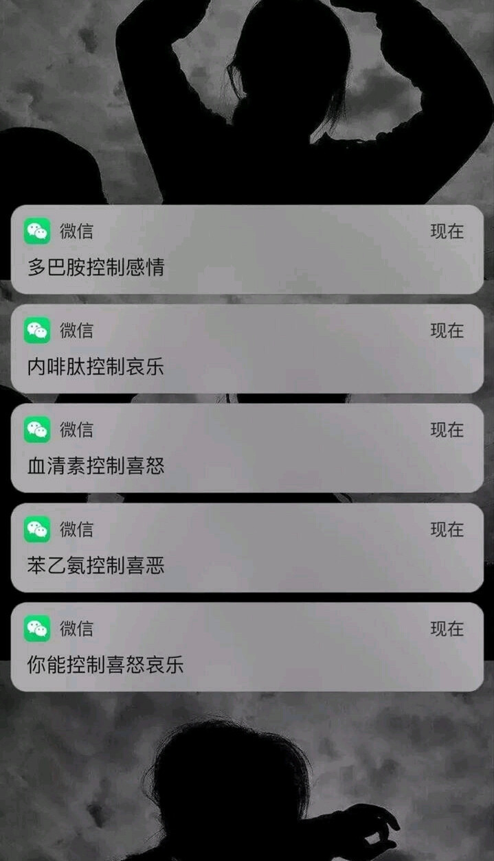 壁纸