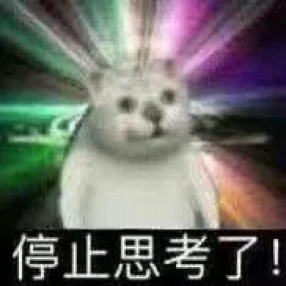 表情包