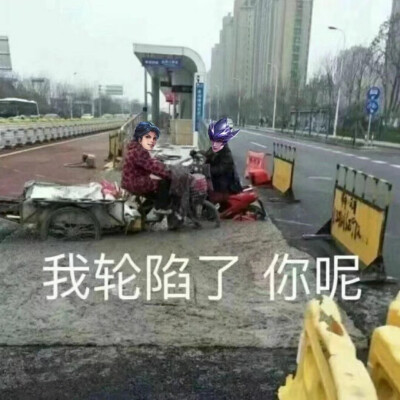 「狸子」王者荣耀接头表情包 接头霸王