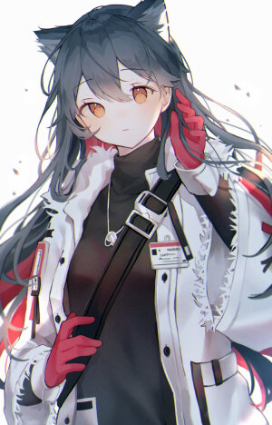 明日方舟
德克萨斯/
画师：Damo