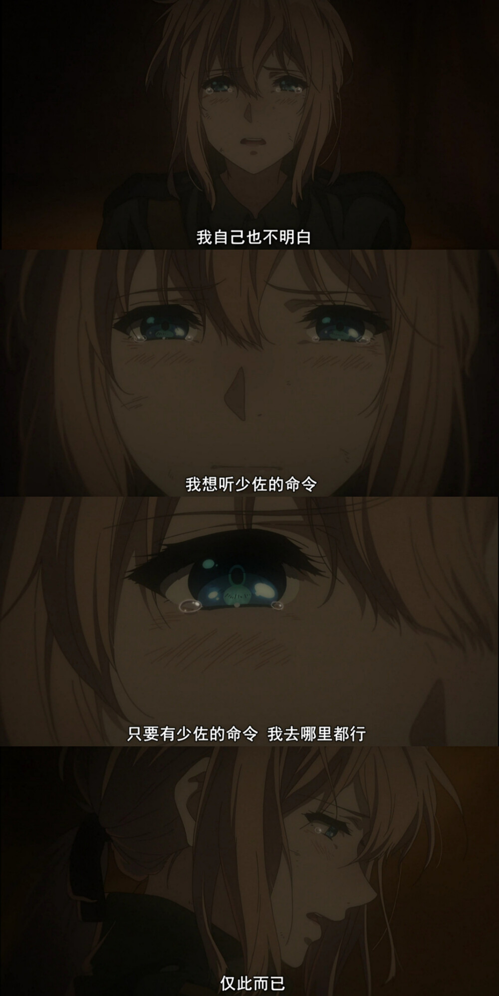 「紫罗兰永恒花园」