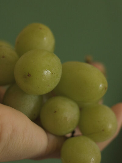 Grape ۶