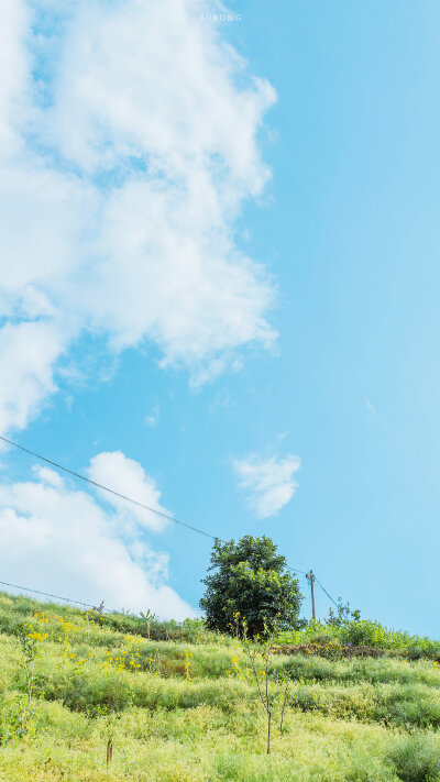 Blue sky ۶