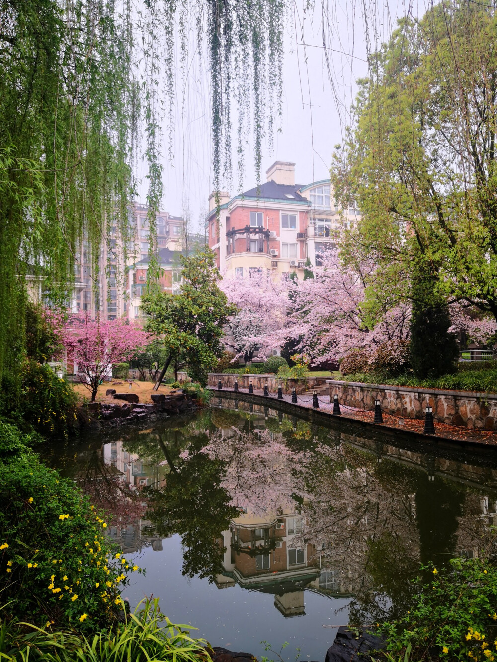 初春雨后小区漫步