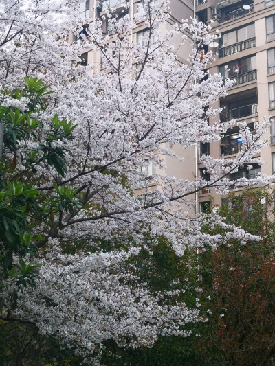 江南好风景