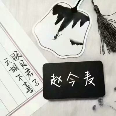 赵今麦壁纸