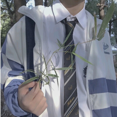 dk制服 男部位 二传注明