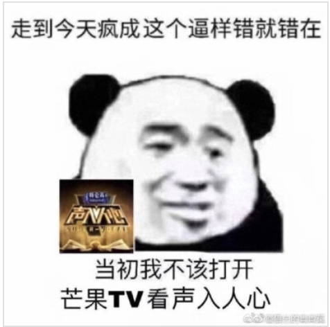 声入人心