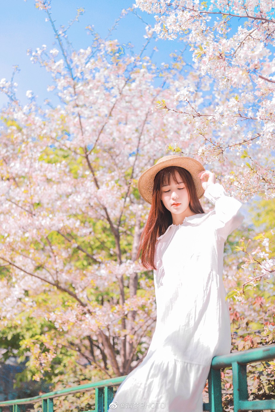 #成都约拍#
桜の花 、
出境 @织田酒里
摄影 @清梦PHOTO
#大理旅拍##旧时光是个美人# ​
