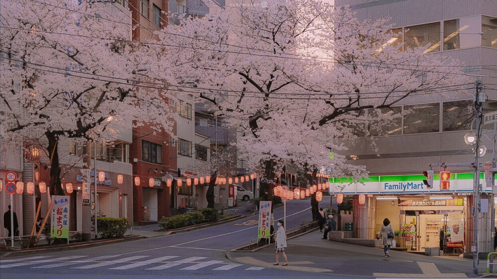 日本 电脑壁纸
樱花，富士山(ˊ˘ˋ*)♡