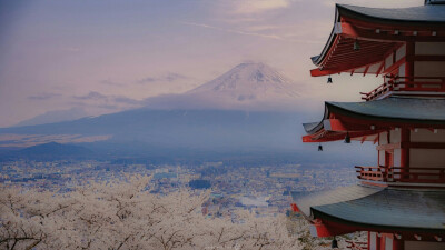 日本 电脑壁纸
樱花，富士山(ˊ˘ˋ*)♡
