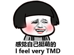 感觉自己萌萌哒 I FEEL VERY TMD