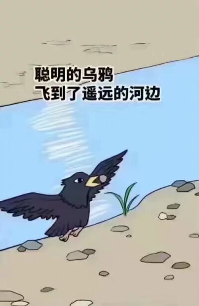 乌鸦喝水