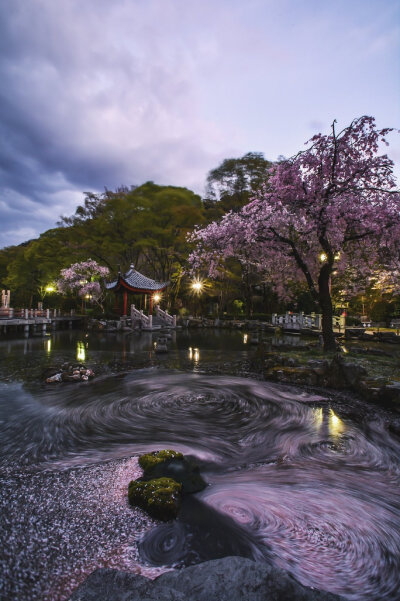 烟火 烟花