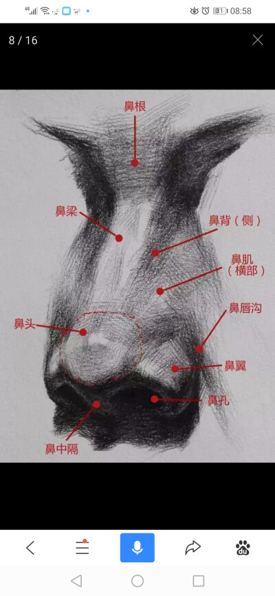 鼻子