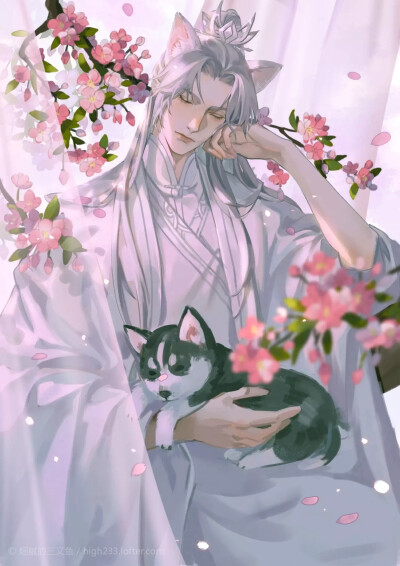 #二哈和他的白猫师尊# #楚晚宁#
lof:细腻的三文鱼