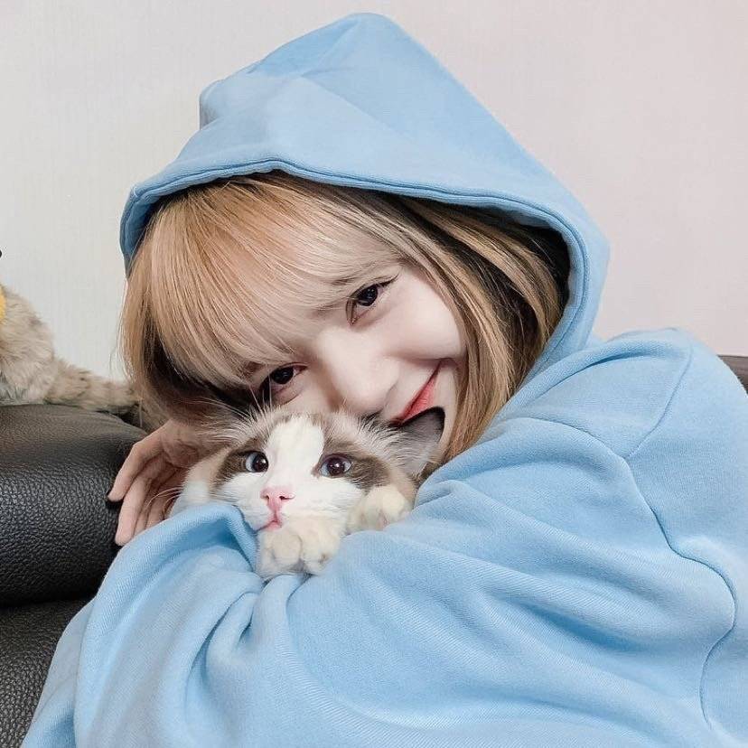 Lisa/拿图点赞/评论/收藏