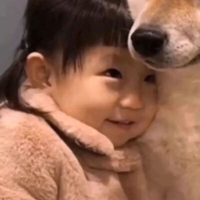 图片是收集来的，侵删