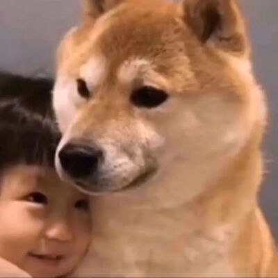 图片是收集来的，侵删