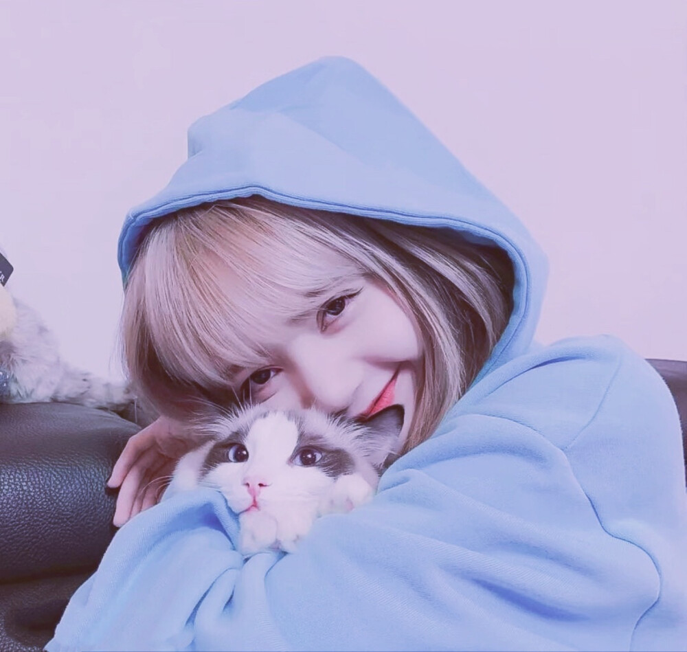 lisa与猫猫三人闺蜜头头像