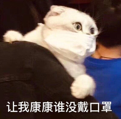 动物表情②