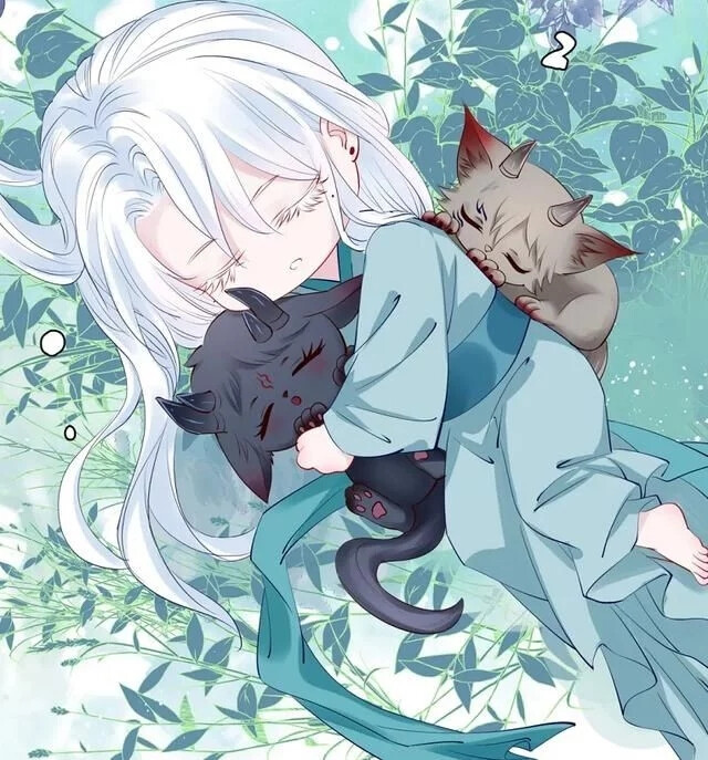 【魔尊要抱抱】离朱 - 堆糖,美图壁纸兴趣社区