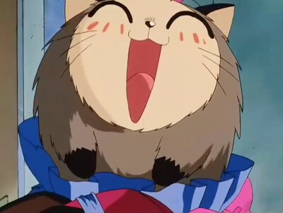 露比，今天要办成玩具哦。