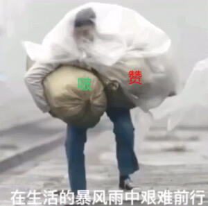 博君一肖 表情包 动图