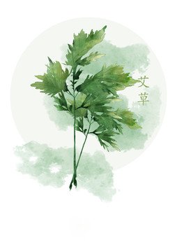 草药