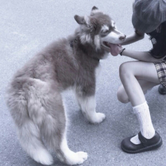 二传注明ks许赴