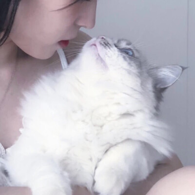 二传注明ks许赴