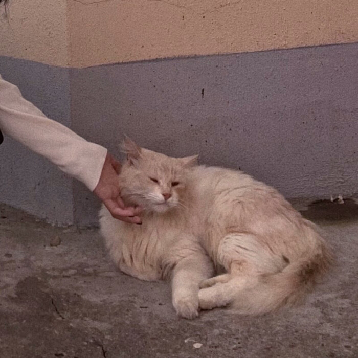 二传注明ks许赴