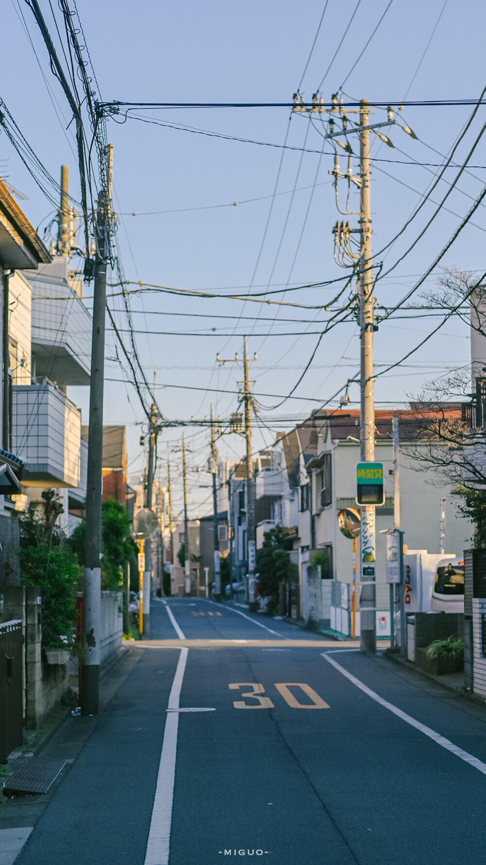 壁纸 日本 樱花