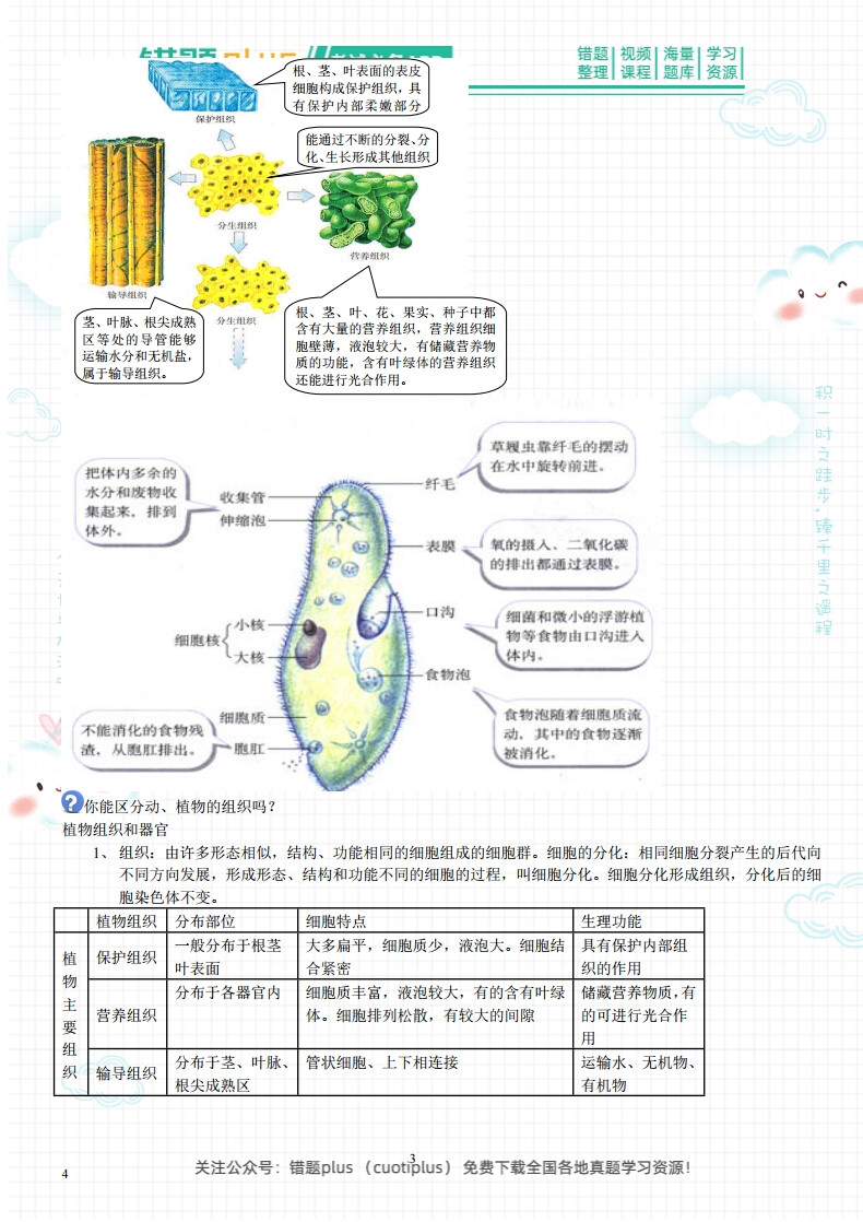 ‼️重要资料_初中生物常考的知识点总结